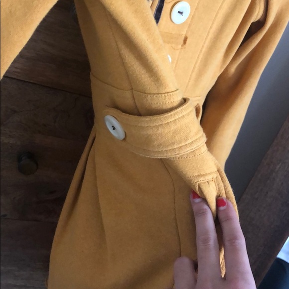 Yellow Jacket - Picture 5 of 6